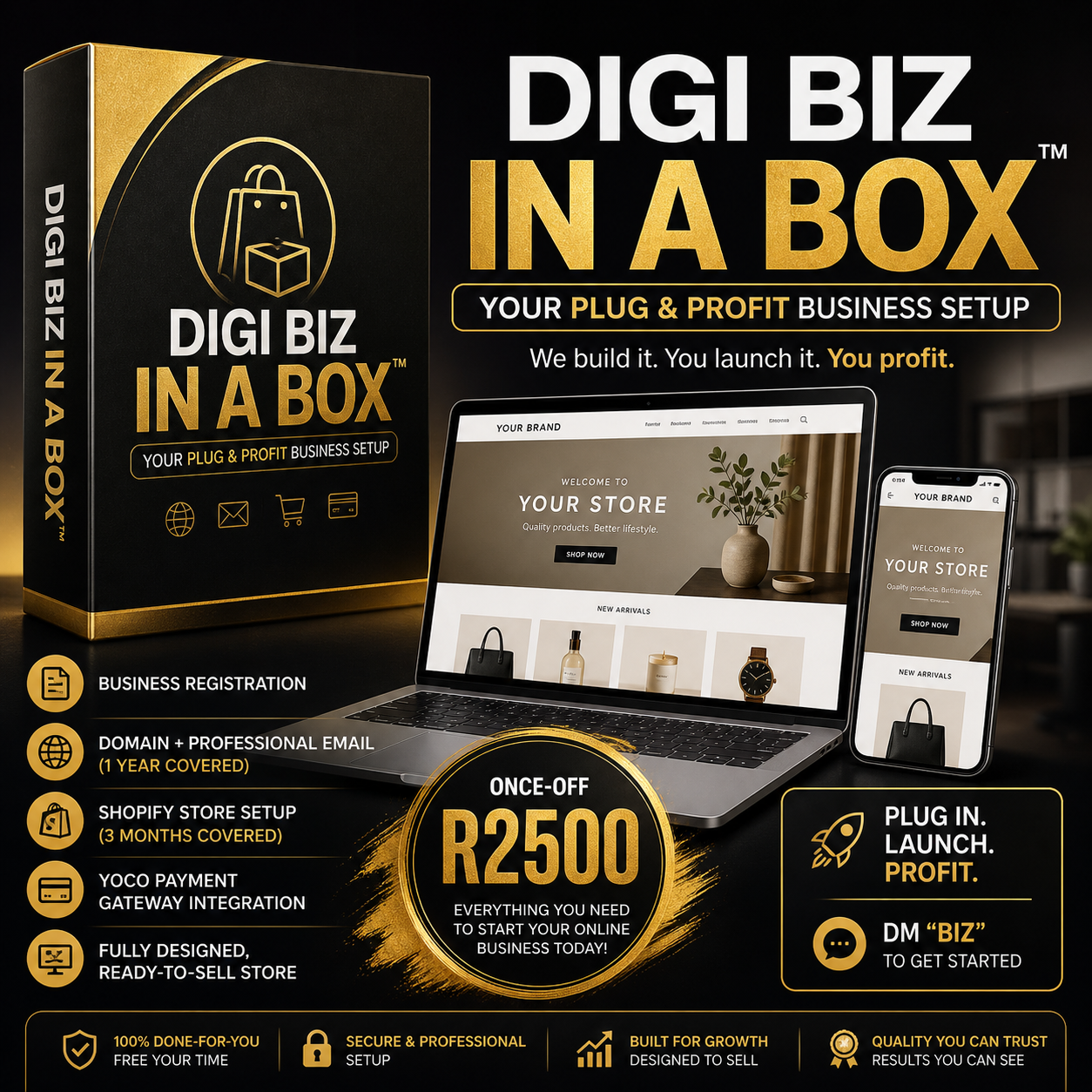 Digi Biz In A Box: Your Plug & Profit Business Setup